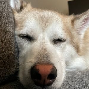 Meet your Posher, Jen